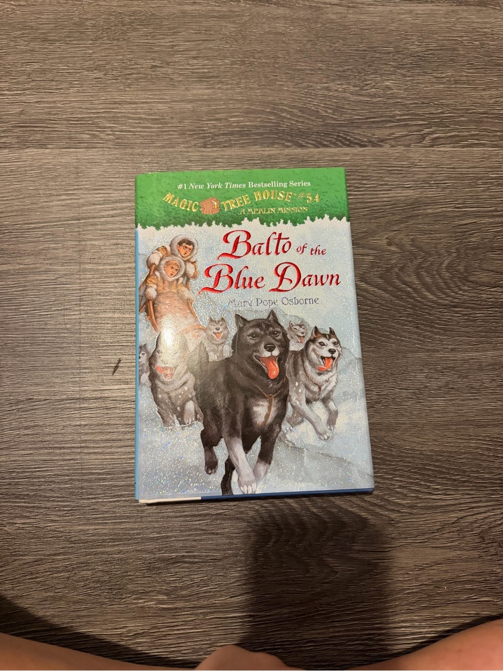 Balto of the Blue Dawn Kids Book - Blue & Green Cover